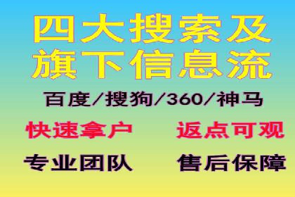 大型企业SEM外包实战案例